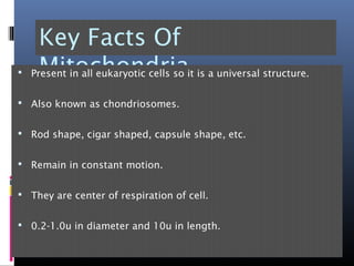 Key Facts Of
Mitochondria Present in all eukaryotic cells so it is a universal structure.
 Also known as chondriosomes.
 Rod shape, cigar shaped, capsule shape, etc.
 Remain in constant motion.
 They are center of respiration of cell.
 0.2-1.0u in diameter and 10u in length.
 