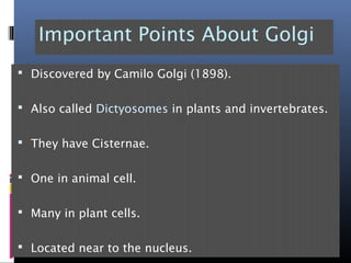 Important Points About Golgi
 Discovered by Camilo Golgi (1898).
 Also called Dictyosomes in plants and invertebrates.
 They have Cisternae.
 One in animal cell.
 Many in plant cells.
 Located near to the nucleus.
 
