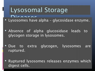 Lysosomal Storage
Diseases Lysosomes have alpha – glycosidase enzyme.
 Absence of alpha glucosidase leads to
glycogen storage in lysosomes.
 Due to extra glycogen, lysosomes are
ruptured.
 Ruptured lysosomes releases enzymes which
digest cells.
 