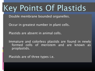 Key Points Of Plastids
Double membrane bounded organelles.
Occur in greatest number in plant cells.
Plastids are absent in animal cells.
Immature and colorless plastids are found in newly
formed cells of meristem and are known as
proplastids.
Plastids are of three types i.e.
 