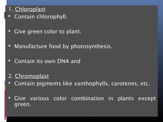 1. Chloroplast
 Contain chlorophyll.
 Give green color to plant.
 Manufacture food by photosynthesis.
 Contain its own DNA and
2. Chromoplast
 Contain pigments like xanthophylls, carotenes, etc.
 Give various color combination in plants except
green.
 