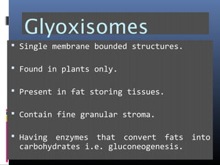 Glyoxisomes
 Single membrane bounded structures.
 Found in plants only.
 Present in fat storing tissues.
 Contain fine granular stroma.
 Having enzymes that convert fats into
carbohydrates i.e. gluconeogenesis.
 