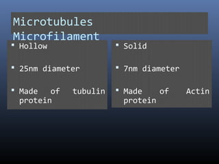 Microtubules
Microfilament
 Hollow
 25nm diameter
 Made of tubulin
protein
 Solid
 7nm diameter
 Made of Actin
protein
 