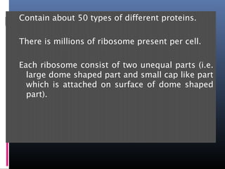 Contain about 50 types of different proteins.
There is millions of ribosome present per cell.
Each ribosome consist of two unequal parts (i.e.
large dome shaped part and small cap like part
which is attached on surface of dome shaped
part).
 