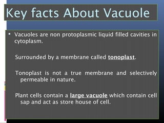 Key facts About Vacuole
 Vacuoles are non protoplasmic liquid filled cavities in
cytoplasm.
Surrounded by a membrane called tonoplast.
Tonoplast is not a true membrane and selectively
permeable in nature.
Plant cells contain a large vacuole which contain cell
sap and act as store house of cell.
 