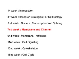 1st week : Introduction
3rd week :Research Strategies For Cell Biology
5nd week : Nucleus, Transcription and Splicing
7nd week : Membrane and Channel
9nd week : Membrane Trafficking
11nd week : Cell Signaling
13nd week : Cytoskeleton
15nd week : Cell Cycle
 
