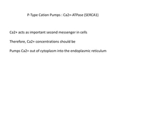 P-Type Cation Pumps : Ca2+-ATPase (SERCA1)
Ca2+ acts as important second messenger in cells
Therefore, Ca2+ concentrations should be
Pumps Ca2+ out of cytoplasm into the endoplasmic reticulum
 