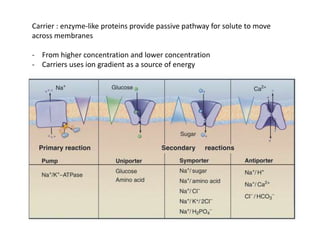 Carrier : enzyme-like proteins provide passive pathway for solute to move
across membranes
- From higher concentration and lower concentration
- Carriers uses ion gradient as a source of energy
 