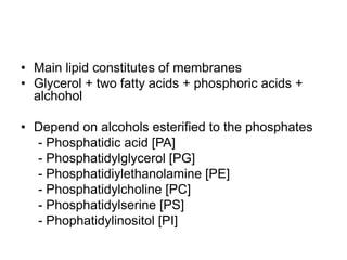 • Main lipid constitutes of membranes
• Glycerol + two fatty acids + phosphoric acids +
alchohol
• Depend on alcohols esterified to the phosphates
- Phosphatidic acid [PA]
- Phosphatidylglycerol [PG]
- Phosphatidiylethanolamine [PE]
- Phosphatidylcholine [PC]
- Phosphatidylserine [PS]
- Phophatidylinositol [PI]
 