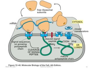 March 30, 2006 Pabio552, Lecture 2 14
 