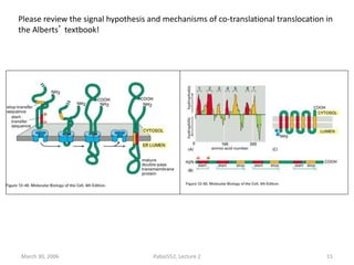 March 30, 2006 Pabio552, Lecture 2 15
Please review the signal hypothesis and mechanisms of co-translational translocation in
the Alberts’ textbook!
 