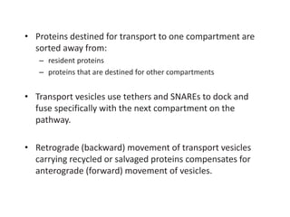 • Proteins destined for transport to one compartment are
sorted away from:
– resident proteins
– proteins that are destined for other compartments
• Transport vesicles use tethers and SNAREs to dock and
fuse specifically with the next compartment on the
pathway.
• Retrograde (backward) movement of transport vesicles
carrying recycled or salvaged proteins compensates for
anterograde (forward) movement of vesicles.
 
