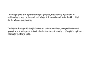 The Golgi apparatus synthesizes sphingolipids, establishing a gradient of
sphingolipids and cholesterol and bilayer thickness from low in the ER to high
in the plasma membrane.
Transport through the Golgi apparatus: Membrane lipids, integral membrane
proteins, and soluble proteins in the lumen move from the cis-Golgi through the
stacks to the trans-Golgi.
 