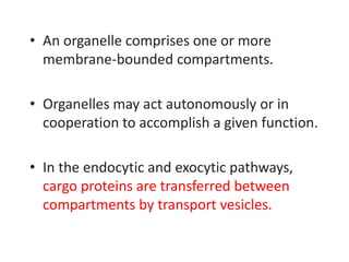 • An organelle comprises one or more
membrane-bounded compartments.
• Organelles may act autonomously or in
cooperation to accomplish a given function.
• In the endocytic and exocytic pathways,
cargo proteins are transferred between
compartments by transport vesicles.
 
