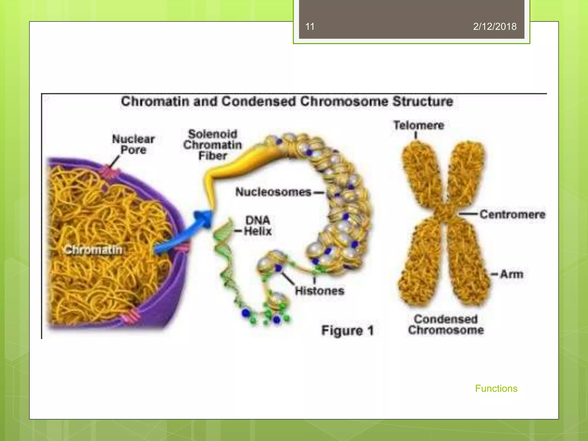 2/12/2018
Functions
11
 