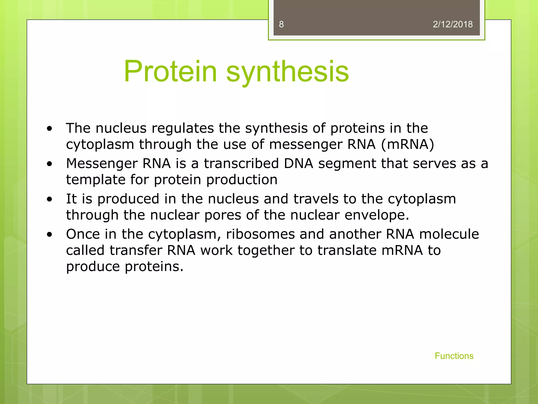 Protein synthesis
• The nucleus regulates the synthesis of proteins in the
cytoplasm through the use of messenger RNA (mRNA)
• Messenger RNA is a transcribed DNA segment that serves as a
template for protein production
• It is produced in the nucleus and travels to the cytoplasm
through the nuclear pores of the nuclear envelope.
• Once in the cytoplasm, ribosomes and another RNA molecule
called transfer RNA work together to translate mRNA to
produce proteins.
2/12/2018
Functions
8
 