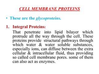 CELL MEMBRANE PROTEINS
• These are the glycoproteins.
1. Integral Proteins:
That penetrate into lipid bilayer which
protrude all the way through the cell. These
proteins provide structural pathways through
which water & water soluble substances,
especially ions, can diffuse between the extra
cellular & intracellular fluid, thus providing
so called cell membrane pores. some of them
can also act as enzymes.
 