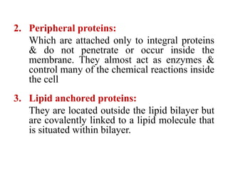 CELL MEMBRANE PROTEINS
2. Peripheral proteins:
Which are attached only to integral proteins
& do not penetrate or occur inside the
membrane. They almost act as enzymes &
control many of the chemical reactions inside
the cell
3. Lipid anchored proteins:
They are located outside the lipid bilayer but
are covalently linked to a lipid molecule that
is situated within bilayer.
 
