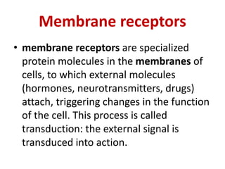Membrane receptors
• membrane receptors are specialized
protein molecules in the membranes of
cells, to which external molecules
(hormones, neurotransmitters, drugs)
attach, triggering changes in the function
of the cell. This process is called
transduction: the external signal is
transduced into action.
 