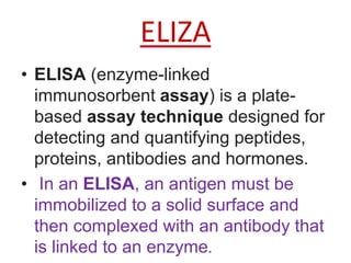 ELIZA
• ELISA (enzyme-linked
immunosorbent assay) is a plate-
based assay technique designed for
detecting and quantifying peptides,
proteins, antibodies and hormones.
• In an ELISA, an antigen must be
immobilized to a solid surface and
then complexed with an antibody that
is linked to an enzyme.
 