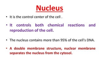 Nucleus
• It is the control center of the cell .
• It controls both chemical reactions and
reproduction of the cell.
• The nucleus contains more than 95% of the cell's DNA.
• A double membrane structure, nuclear membrane
separates the nucleus from the cytosol.
 