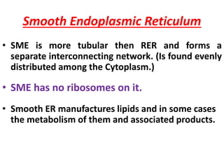 Smooth Endoplasmic Reticulum
• SME is more tubular then RER and forms a
separate interconnecting network. (Is found evenly
distributed among the Cytoplasm.)
• SME has no ribosomes on it.
• Smooth ER manufactures lipids and in some cases
the metabolism of them and associated products.
 