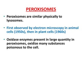 PEROXISOMES
• Peroxisomes are similar physically to
lysosomes.
• First observed by electron microscopy in animal
cells (1950s), then in plant cells (1960s)
• Oxidase enzymes present in large quantity in
peroxisomes, oxidize many substances
poisonous to the cell.
 