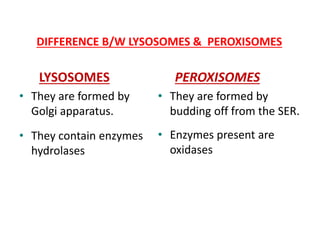 DIFFERENCE B/W LYSOSOMES & PEROXISOMES
LYSOSOMES
• They are formed by
Golgi apparatus.
• They contain enzymes
hydrolases
PEROXISOMES
• They are formed by
budding off from the SER.
• Enzymes present are
oxidases
 