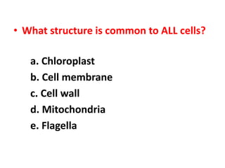 • What structure is common to ALL cells?
a. Chloroplast
b. Cell membrane
c. Cell wall
d. Mitochondria
e. Flagella
 