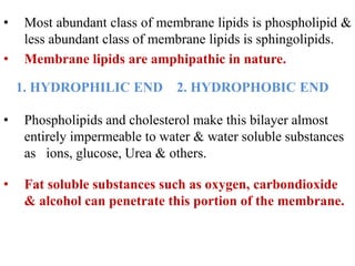 • Most abundant class of membrane lipids is phospholipid &
less abundant class of membrane lipids is sphingolipids.
• Membrane lipids are amphipathic in nature.
1. HYDROPHILIC END 2. HYDROPHOBIC END
• Phospholipids and cholesterol make this bilayer almost
entirely impermeable to water & water soluble substances
as ions, glucose, Urea & others.
• Fat soluble substances such as oxygen, carbondioxide
& alcohol can penetrate this portion of the membrane.
 