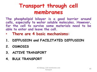 Transport through cell
membranes
The phospholipid bilayer is a good barrier around
cells, especially to water soluble molecules. However,
for the cell to survive some materials need to be
able to enter and leave the cell.
• There are 4 basic mechanisms:
1. DIFFUSION and FACILITATED DIFFUSION
2. OSMOSIS
3. ACTIVE TRANSPORT
4. BULK TRANSPORT
AS Biology, Cell membranes and
Transport
60
 