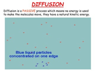DIFFUSION
AS Biology, Cell membranes and
Transport
63
Diffusion is a PASSIVE process which means no energy is used
to make the molecules move, they have a natural kinetic energy.
 