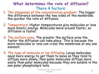 What determines the rate of diffusion?
There 4 factors:
1. The steepness of the concentration gradient. The bigger
the difference between the two sides of the membrane
the quicker the rate of diffusion.
2. Temperature. Higher temperatures give molecules or ions
more kinetic energy. Molecules move around faster, so
diffusion is faster.
3. The surface area. The greater the surface area the
faster the diffusion can take place. This is because the
more molecules or ions can cross the membrane at any one
moment.
4. The type of molecule or ion diffusing. Large molecules
need more energy to get them to move so they tend to
diffuse more slowly. Non-polar molecules diffuse more
easily than polar molecules because they are soluble in the
non polar phospholipid tails.
AS Biology, Cell membranes and
Transport
67
 