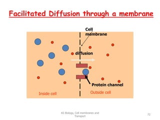 Facilitated Diffusion through a membrane
AS Biology, Cell membranes and
Transport
72
Cell
membrane
Inside cell Outside cell
Protein channel
diffusion
 
