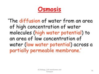 Osmosis
‘The diffusion of water from an area
of high concentration of water
molecules (high water potential) to
an area of low concentration of
water (low water potential) across a
partially permeable membrane.’
AS Biology, Cell membranes and
Transport
76
 