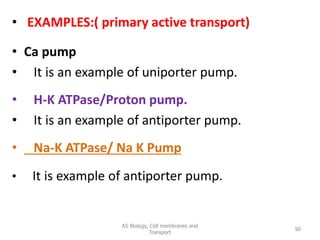 • EXAMPLES:( primary active transport)
• Ca pump
• It is an example of uniporter pump.
• H-K ATPase/Proton pump.
• It is an example of antiporter pump.
• Na-K ATPase/ Na K Pump
• It is example of antiporter pump.
AS Biology, Cell membranes and
Transport
90
 