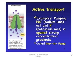 AS Biology, Cell membranes and
Transport
92
 