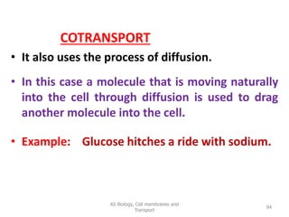 COTRANSPORT
• It also uses the process of diffusion.
• In this case a molecule that is moving naturally
into the cell through diffusion is used to drag
another molecule into the cell.
• Example: Glucose hitches a ride with sodium.
AS Biology, Cell membranes and
Transport
94
 