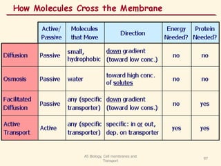 AS Biology, Cell membranes and
Transport
97
 