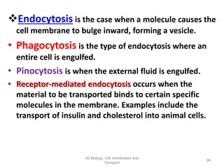 Endocytosis is the case when a molecule causes the
cell membrane to bulge inward, forming a vesicle.
• Phagocytosis is the type of endocytosis where an
entire cell is engulfed.
• Pinocytosis is when the external fluid is engulfed.
• Receptor-mediated endocytosis occurs when the
material to be transported binds to certain specific
molecules in the membrane. Examples include the
transport of insulin and cholesterol into animal cells.
AS Biology, Cell membranes and
Transport
98
 