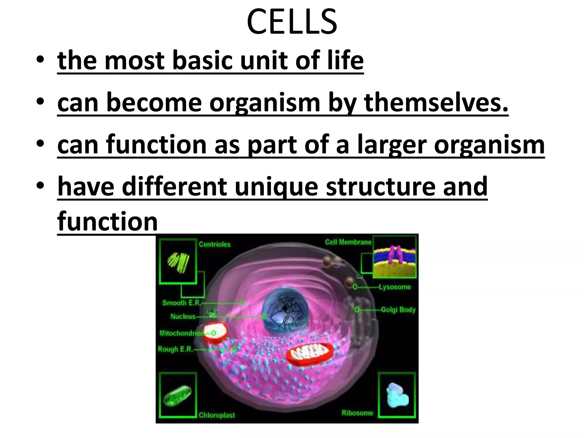 cell biol chap-1 lec ppt.ppt