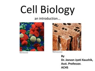 Cell Biology
an introduction...
By
Dr. Jeevan Jyoti Kaushik,
Asst. Professor.
ACHS
 