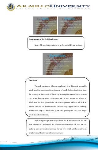 Components of the Cell Membrane: 
Lipids (Phospolipids, cholesterol and glycolypids) and proteins. 
Functions 
The cell membrane (plasma membrane) is a thin semi-permeable 
membrane that surrounds the cytoplasm of a cell. Its function is to protect 
the integrity of the interior of the cell by allowing certain substances into the 
cell, while keeping other substances out. It also serves as a base of 
attachment for the cytoskeleton in some organisms and the cell wall in 
others. Thus the cell membrane also serves to help support the cell and help 
maintain its shape. Animal cells, plant cells, prokaryotic cells, and fungal 
cells have cell membranes. 
By having enough knowledge about the characteristics of the cell 
wall and the cell membrane, we can say that sometimes we also have to 
make an semi-permeable membrane for our lives which will be selective on 
people who will enter and influence our lives. 
 