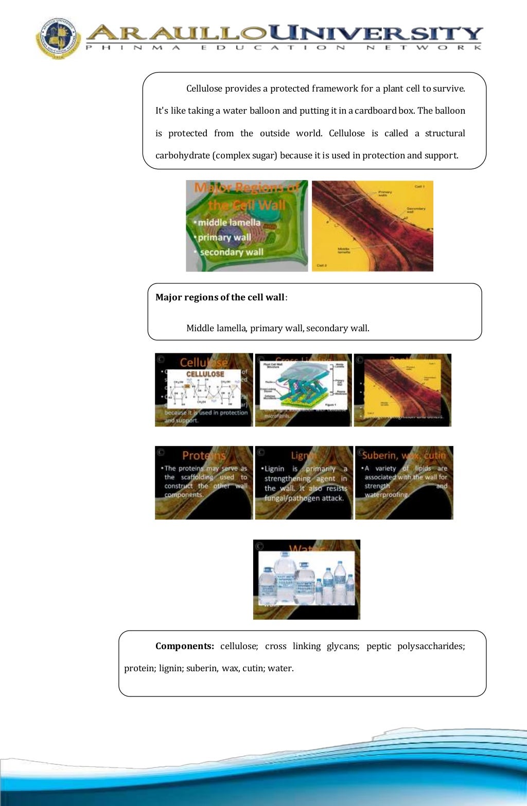 Biotech startup budget picture