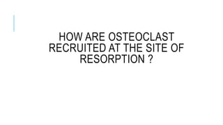 HOW ARE OSTEOCLAST
RECRUITED AT THE SITE OF
RESORPTION ?
 