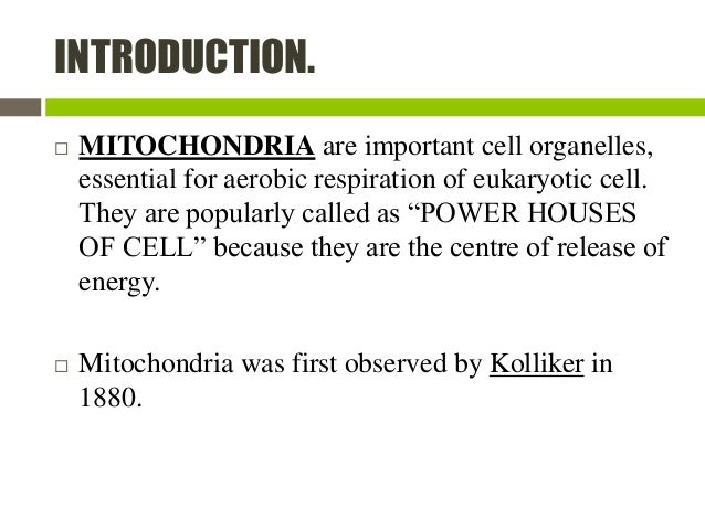 Mitochondria