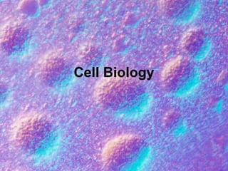 Cell Biology
 