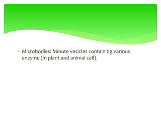  Microbodies: Minute vesicles containing various
enzyme (in plant and animal cell).
 