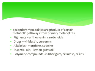  Secondary metabolites are product of certain
metabolic pathways from primary metabolites.
 Pigments – anthocyanin, carotenoids
 Drugs – vinblastin, curcumin
 Alkaloids - morphine, codeine
 Essential oils – lemon grass oil
 Polymeric compounds - rubber gum, cellulose, resins
 