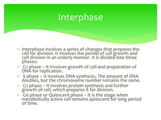  Interphase involves a series of changes that prepares the
cell for division. It involves the period of cell growth and
cell division in an orderly manner. It is divided into three
phases:
 G1 phase – It involves growth of cell and preparation of
DNA for replication.
 S phase – It involves DNA synthesis. The amount of DNA
doubles, but the chromosome number remains the same.
 G2 phase – It involves protein synthesis and further
growth of cell, which prepares it for division.
 G0 phase or Quiescent phase – It is the stage when
metabolically active cell remains quiescent for long period
of time.
Interphase
 